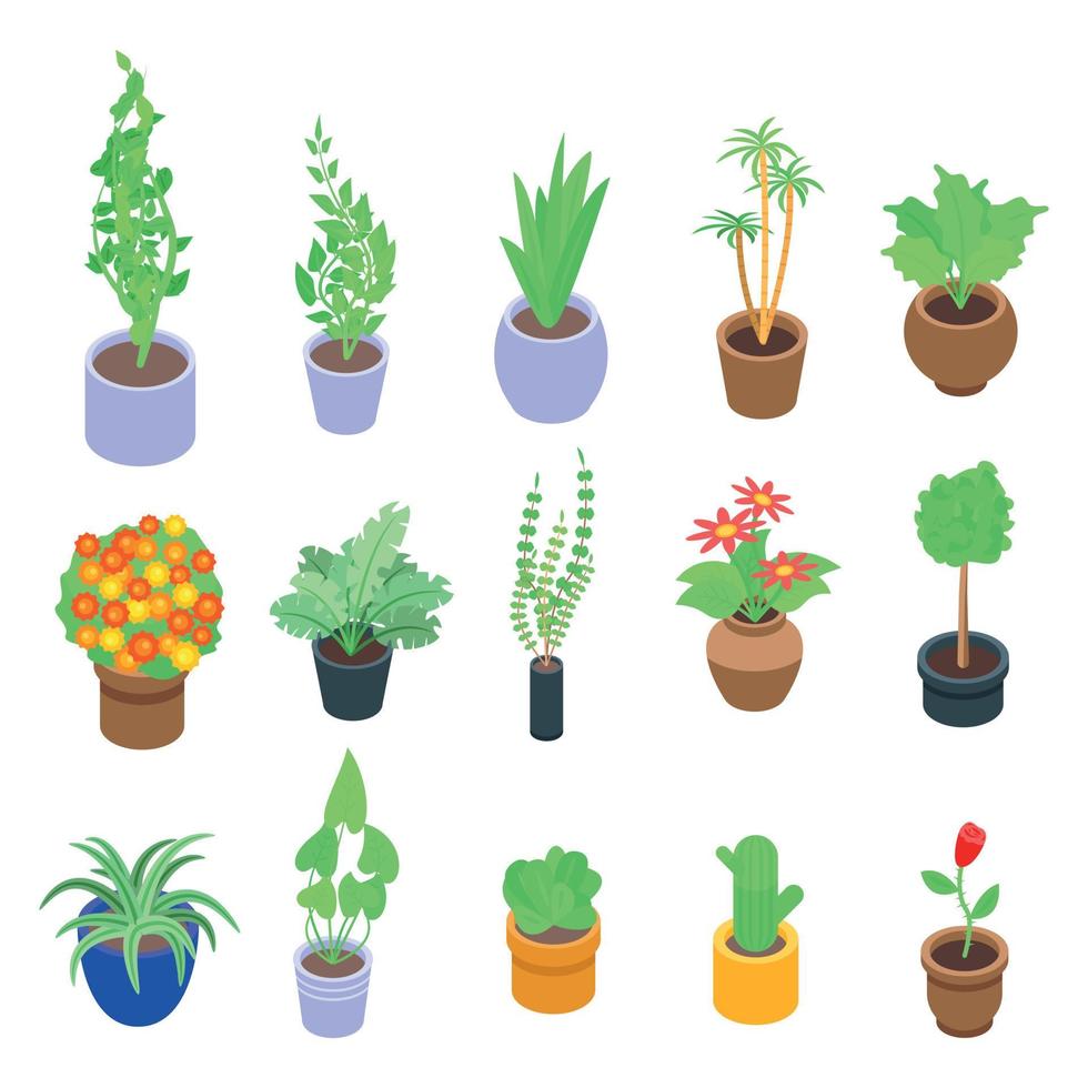 conjunto de iconos de plantas de interior, estilo isométrico vector