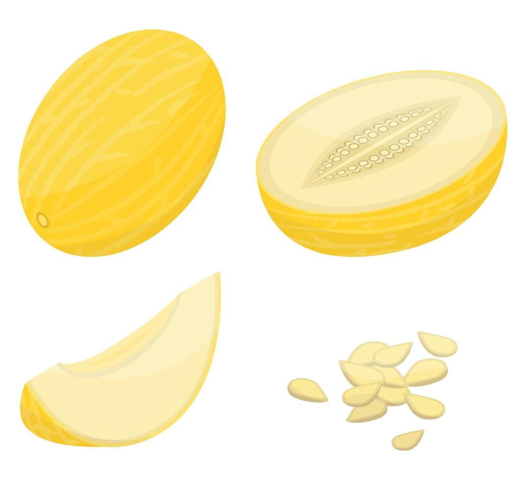 Melon icons set, isometric style vector