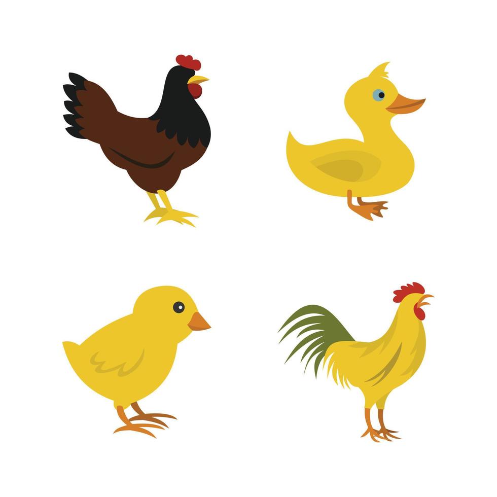 Domestic bird icon set, flat style vector