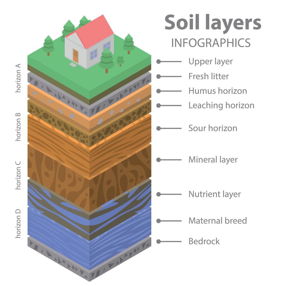 Soil ground infographic, isometric style vector