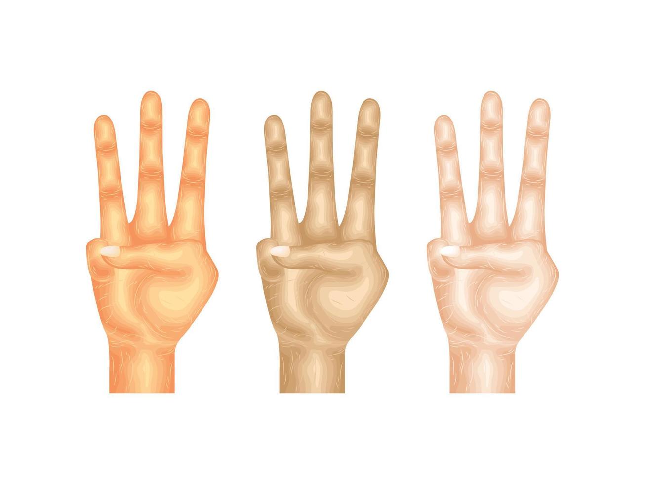 gesture language hand vector body arm sign finger part model anatomy collection skin human idea up