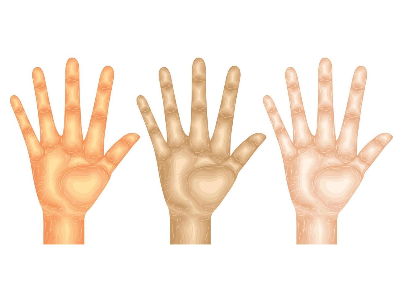 gesture language hand vector body arm sign finger part model anatomy collection skin human idea up