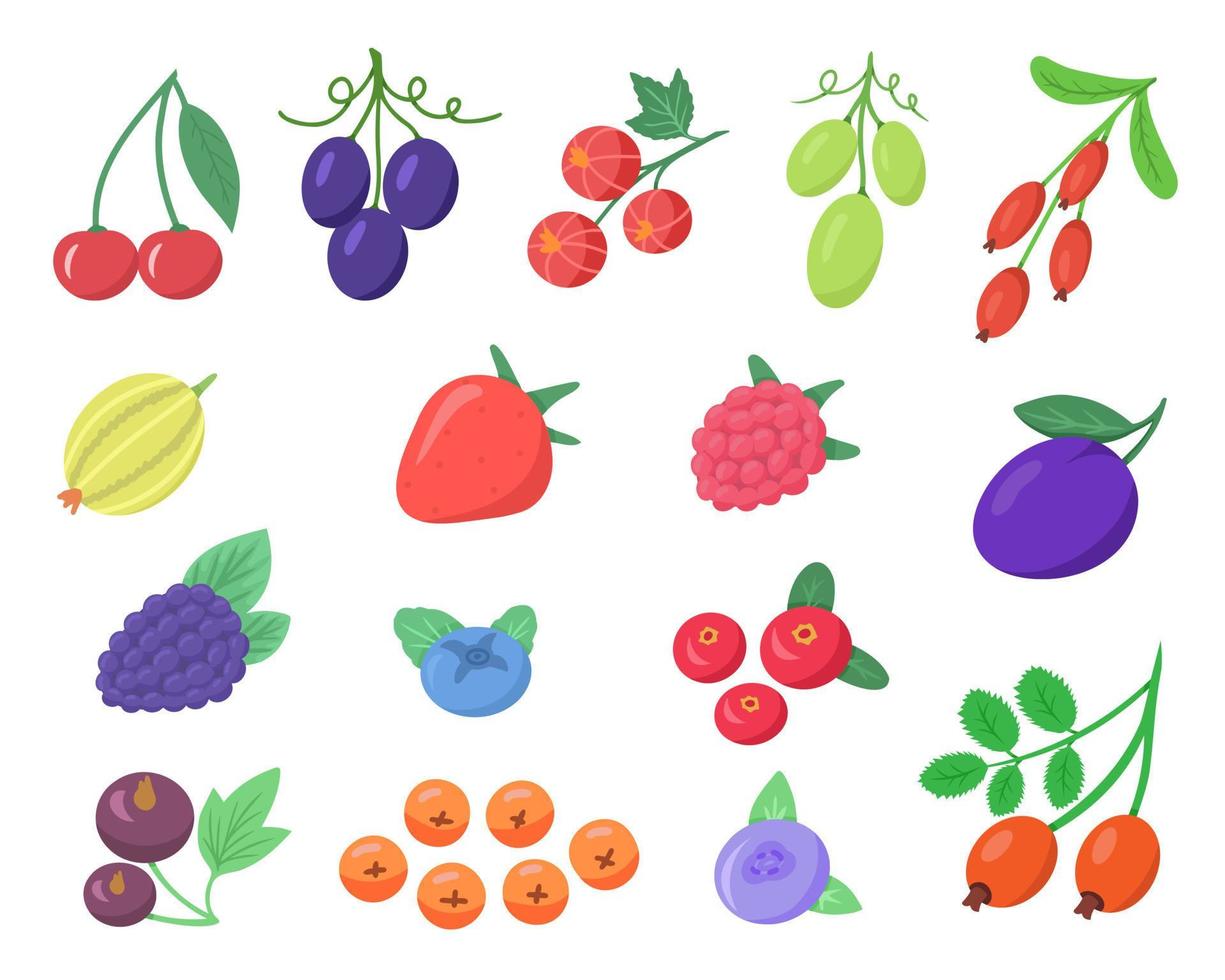 Big berry set. Illustration for printing, backgrounds, covers, packaging, greeting cards, posters, stickers, textile and seasonal design. Isolated on white background. vector