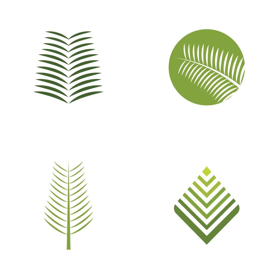 Palm tree leaf illustration logo template vector design