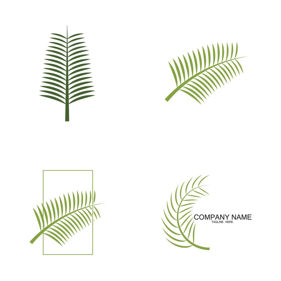 Palm tree leaf illustration logo template vector design