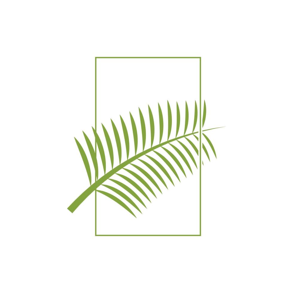 Palm tree leaf illustration logo template vector design