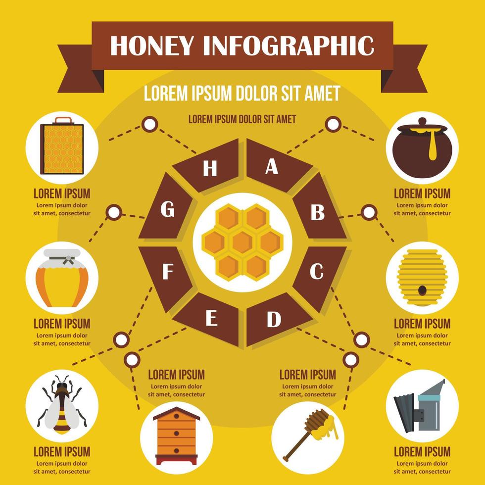 concepto infográfico de miel, estilo plano vector