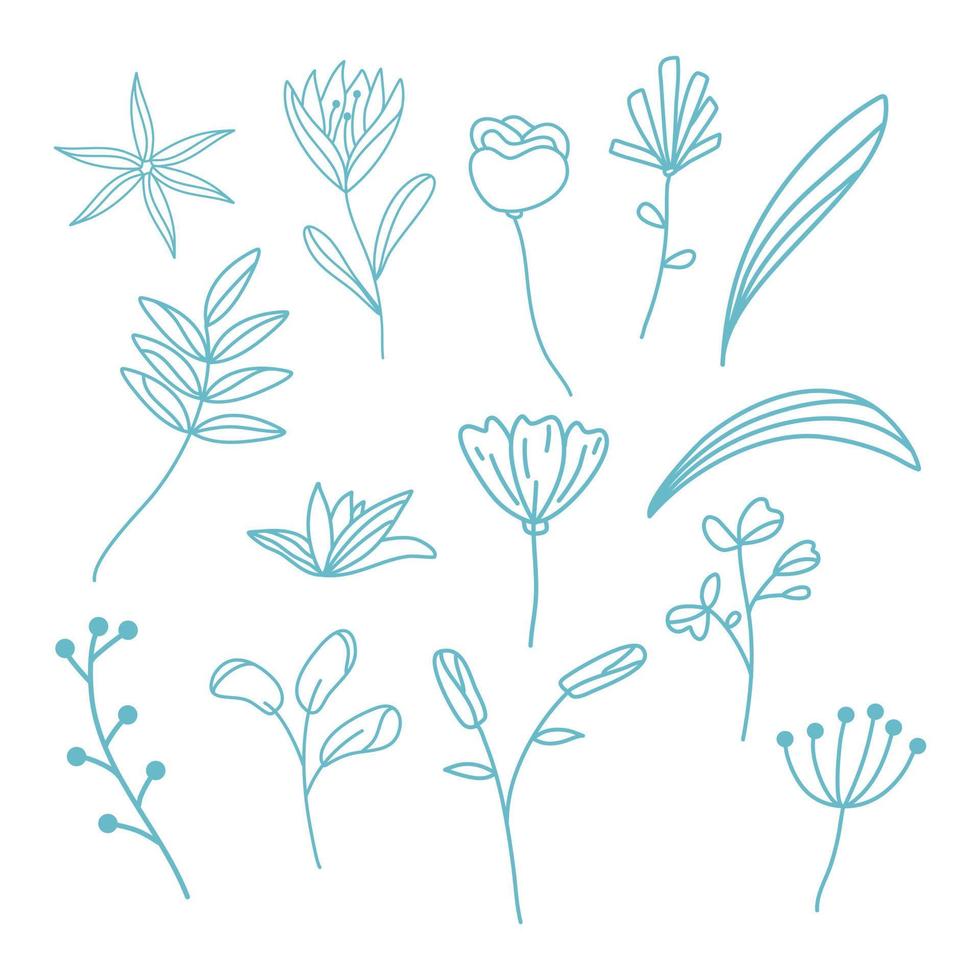 elementos decorativos florales dibujados a mano vector