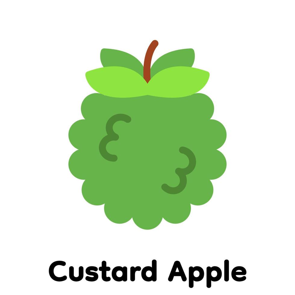 Custard apple icon. vector