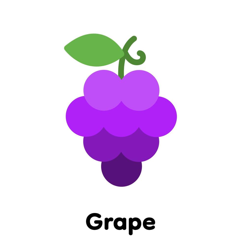 Grape icon . vector