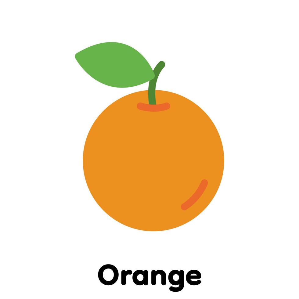 Orange icon . vector