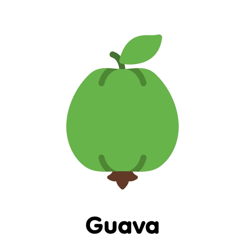 icono de fruta de guayaba. vector