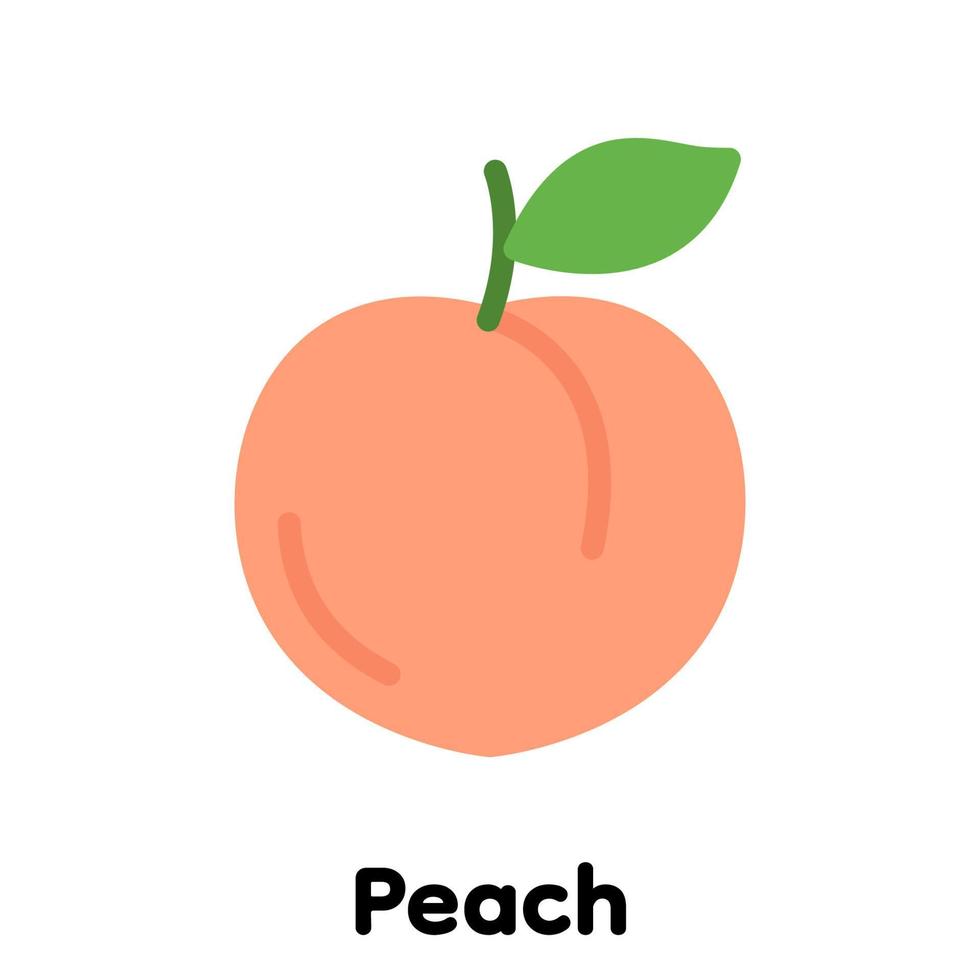 Peach icon . vector