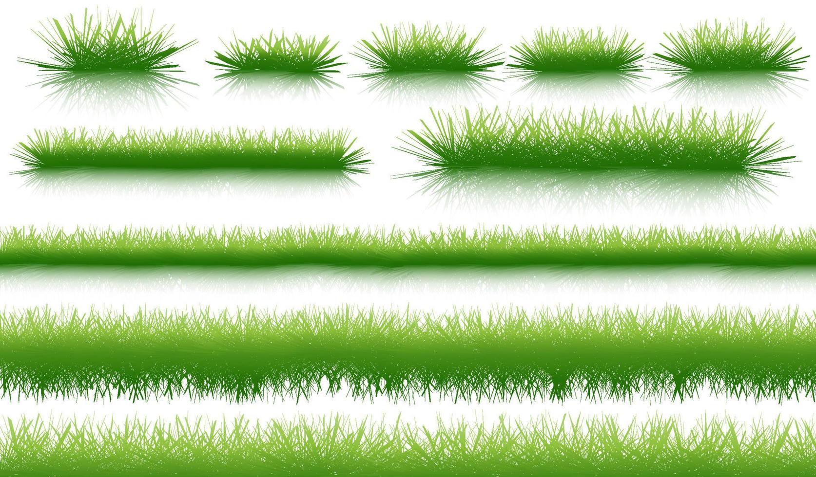 hierba orgánica natural verde aislada sobre fondo blanco y textura vector