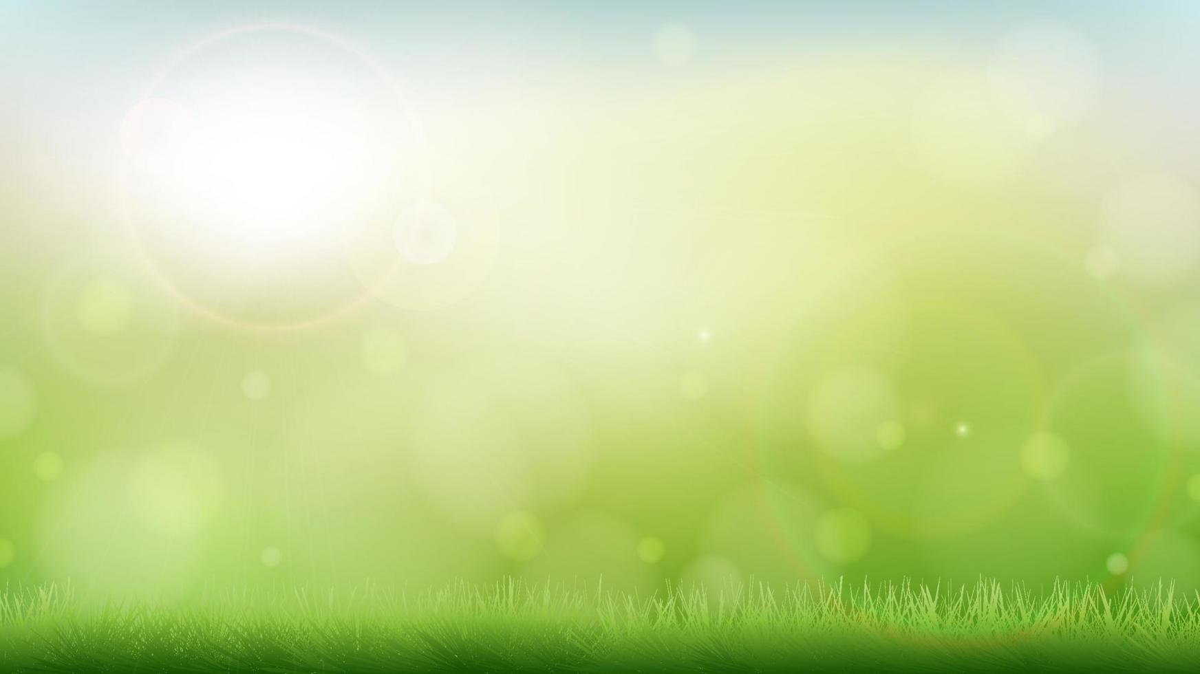 Morning spring summer green nature blurred bokeh background and grass vector