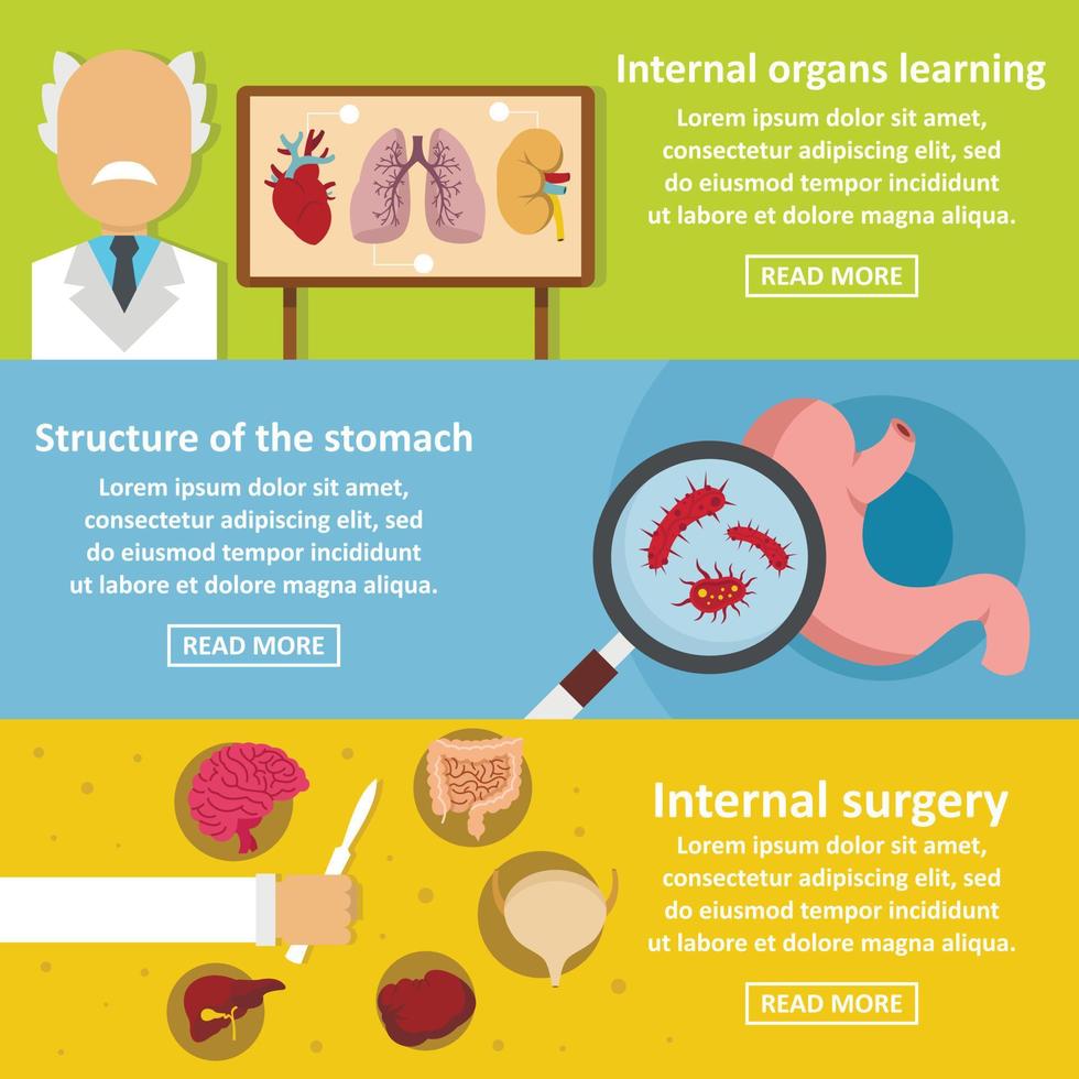 Internal organs banner horizonatal set, flat style vector