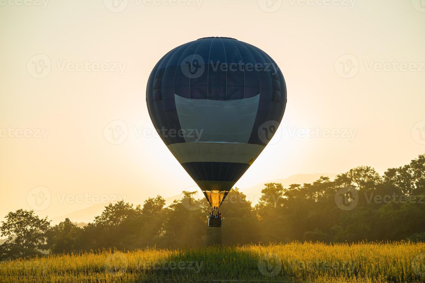 The Balloons festival in Singha park at Chiang Rai province of Thailand. photo