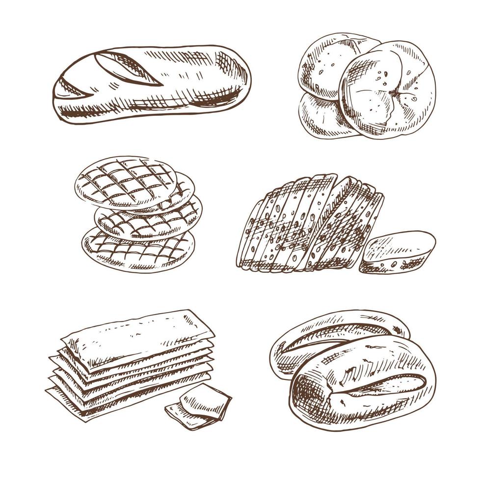 Vintage hand drawn sketch style bakery set. Bread and pastry on white background. Vector illustration. Icons and elements for print, web, mobile and infographics.