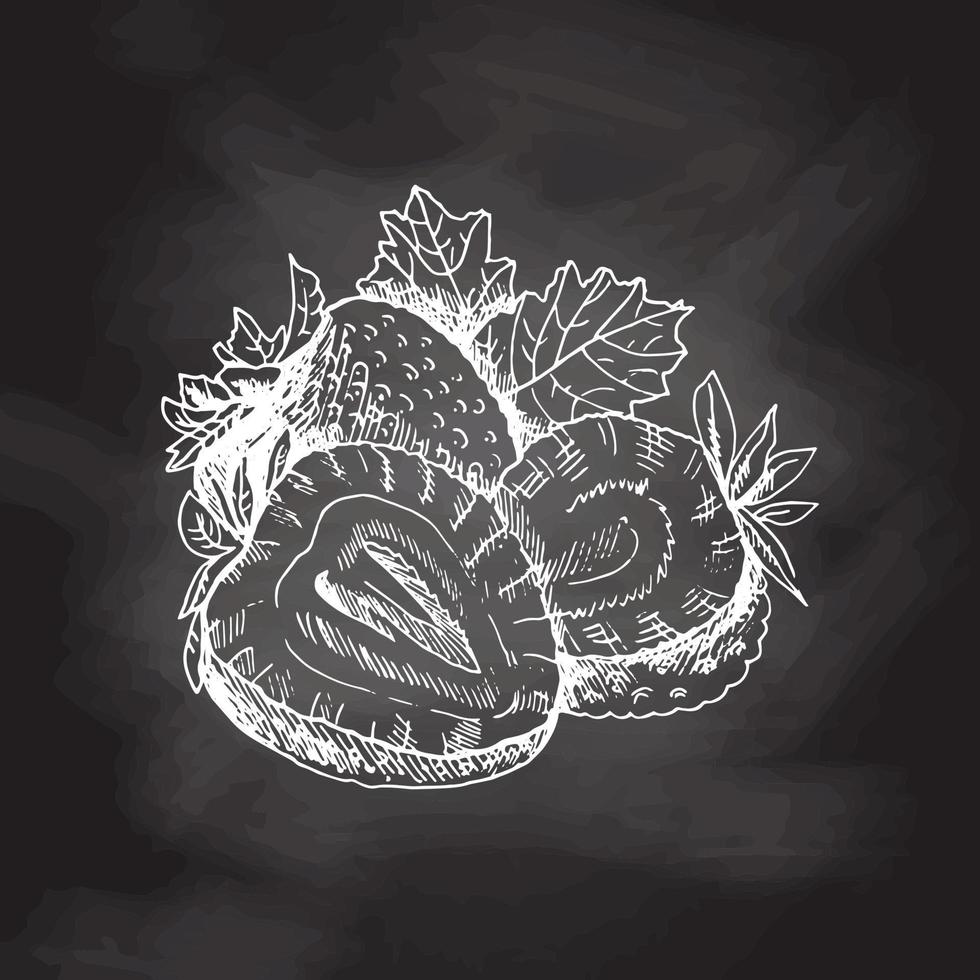Vector  sketch of fresh organic strawberries, slices. Hand drawn   white sketch  on black chalkboard.  Summer fruit and berries  illustration.  Great for label, poster.