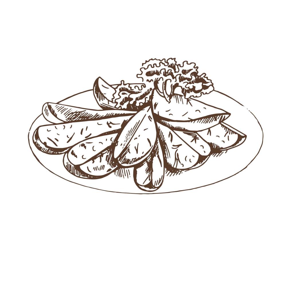 Baked potato  on the dish.  Vector  sketch of Fresh organic Potato.  Hand drawn  illustration.  Great for label, poster, print.