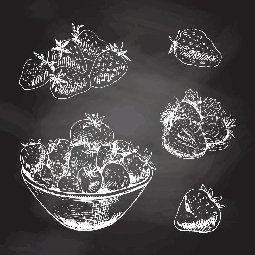 Vector  sketch set  of  strawberries.  Hand drawn  white sketch on black chalkboard.  Summer berries.  Great for label, poster, print.