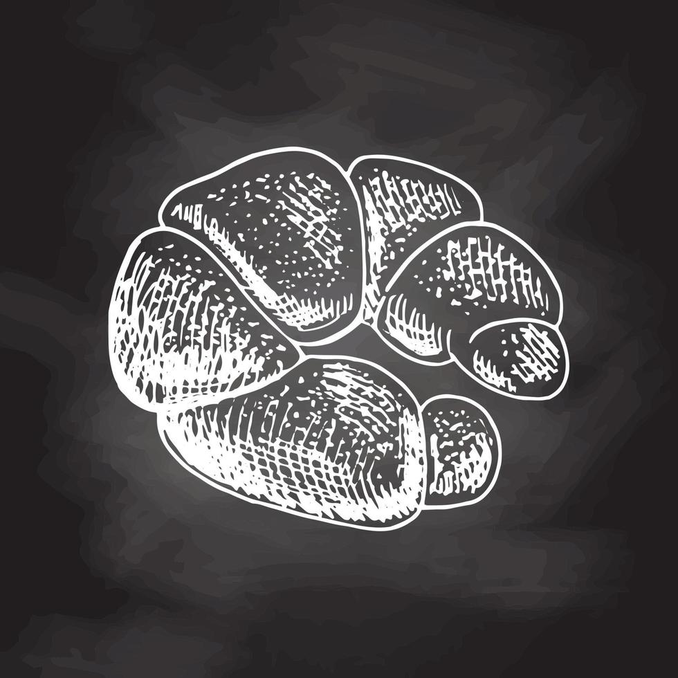 vector dibujado a mano ilustración de bagel, bollo. boceto blanco aislado en pizarra negra. icono de esbozo y elemento de panadería para impresión, web, móvil e infografía.