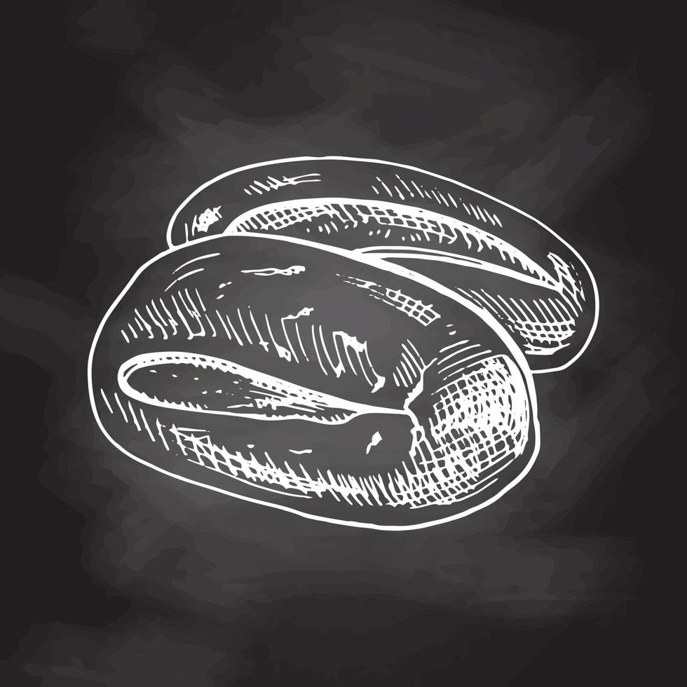 Vector hand drawn illustration of loaf of bread, baguette. White sketch isolated on black chalkboard.  Sketch icon and bakery element for print, web, mobile and infographics.