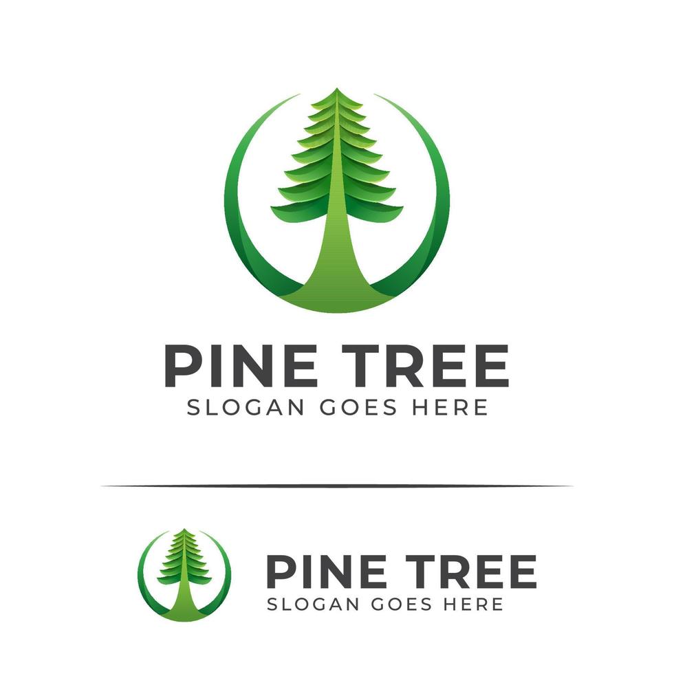 green logo of pine tree evergreen or conifer cedar coniferous cypress larch vector