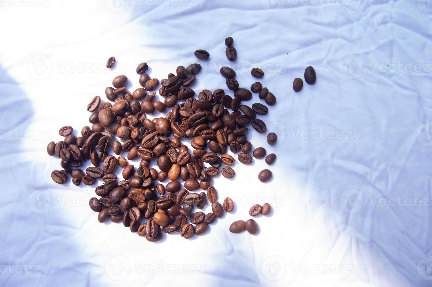 coffee beans on a white background photo