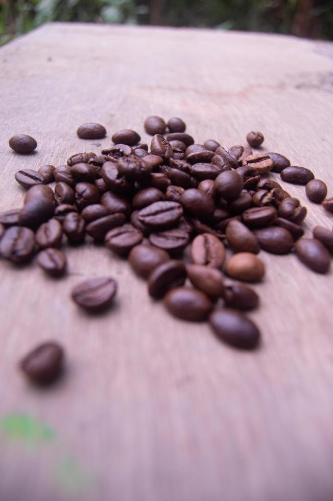 coffee beans on a wood photo