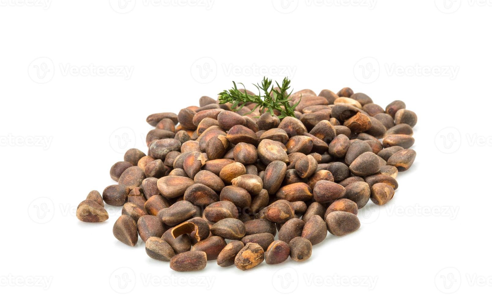 Cedar nut heap photo