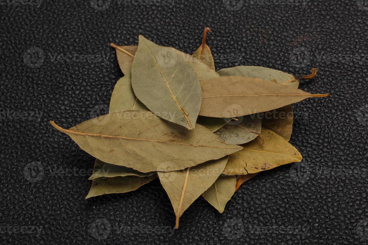 Dry laurel leaves photo