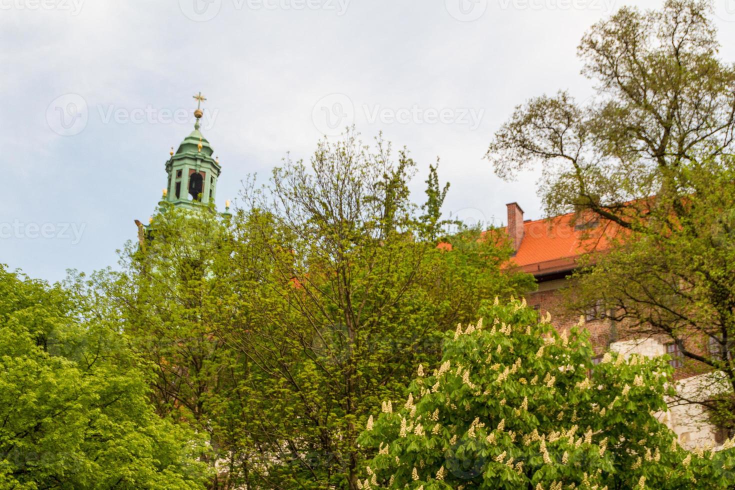 Royal castle in Wawel, Krakow photo