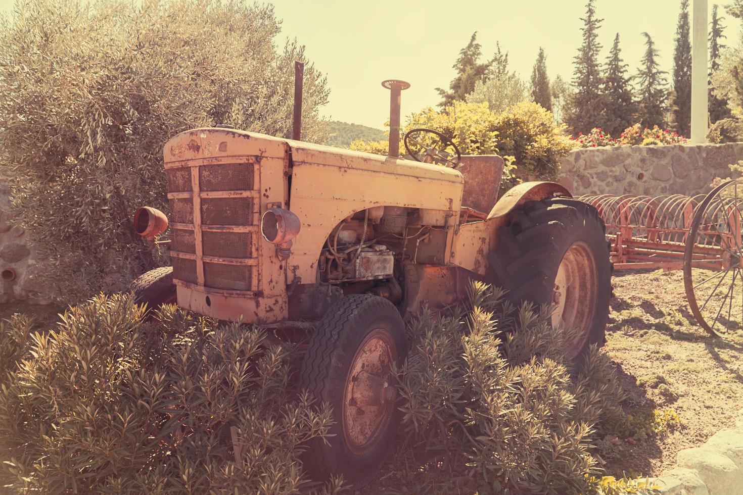 old vintage tractor on the farm photo