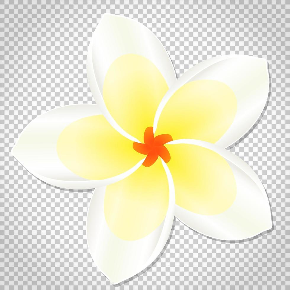 Icon of flower, vector floral symbol.