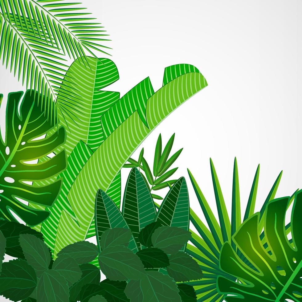 Tropical leaves border on isolate background. Vector illustration. Eps 10.