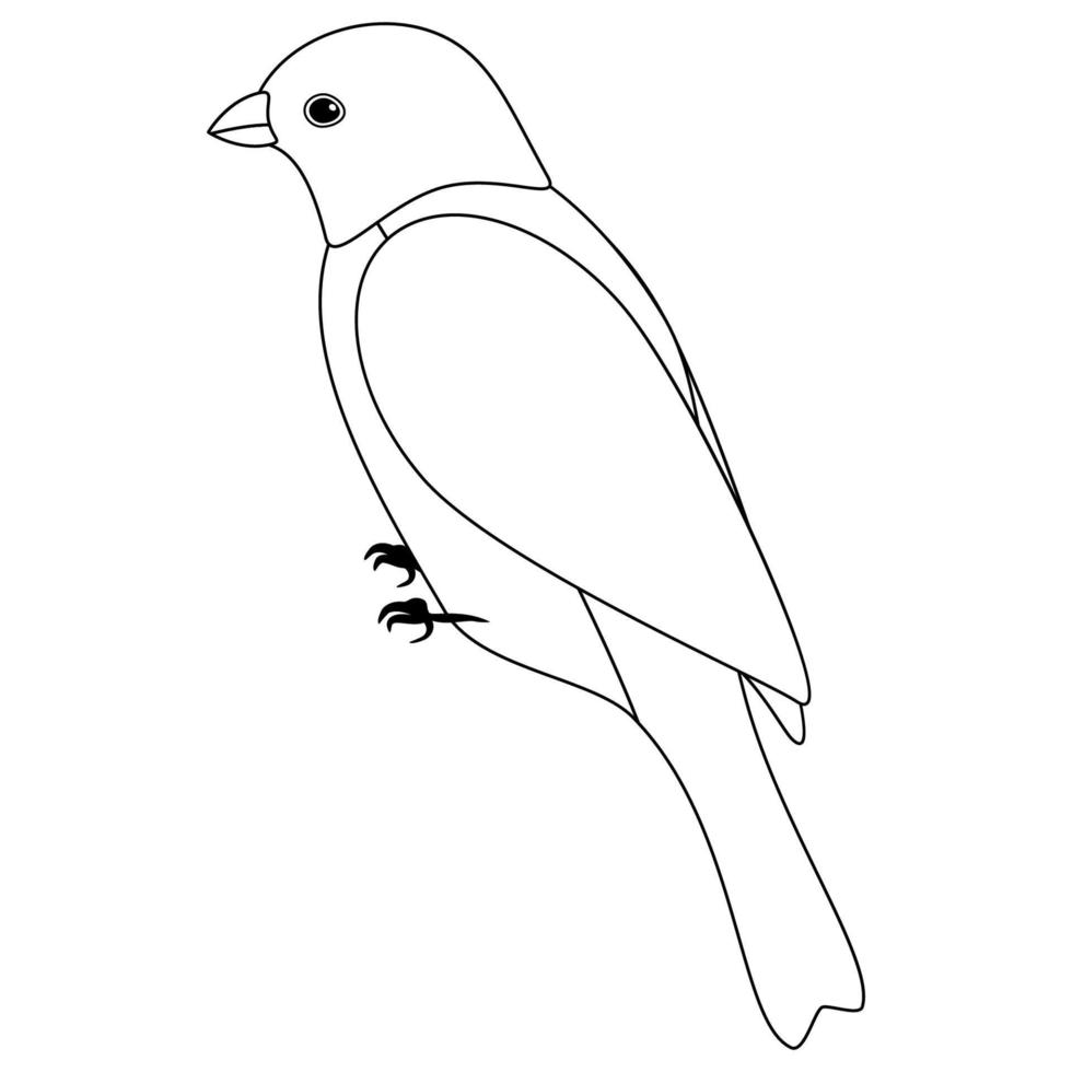 pájaro lindo de línea, estilo de coloración aislado sobre fondo blanco, vector de señal.