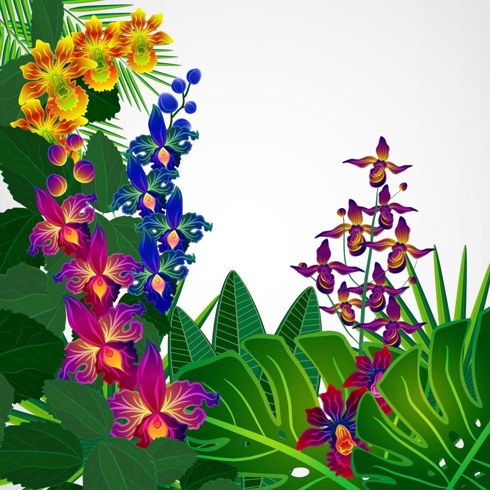 Tropical flowers and leaves. Floral design background. vector