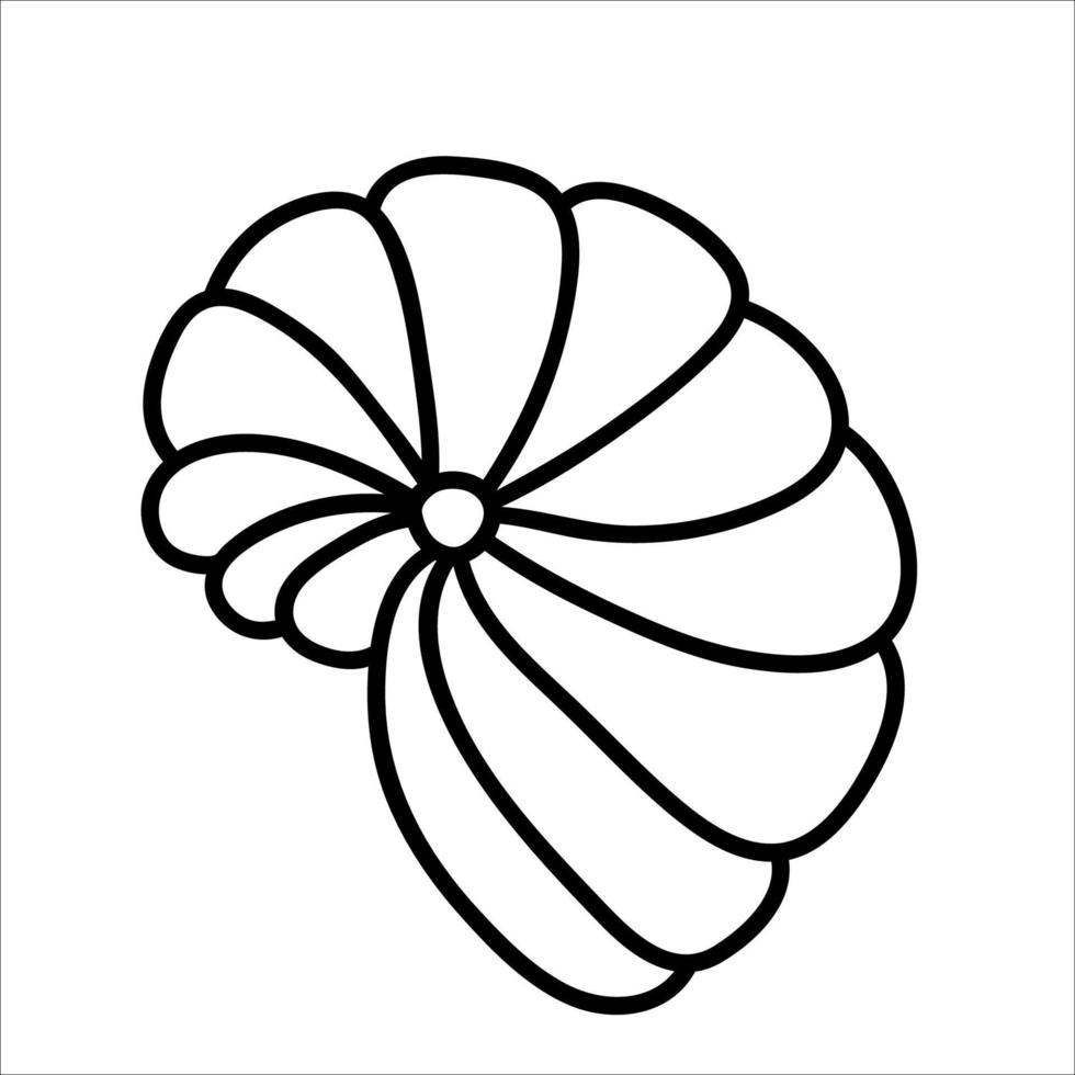 Vector black and white seashell. Outline seashell. Summer outline clipart element. Cute illustration for kids or coloring page. Vacation beach object.