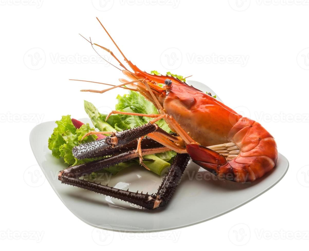 Giant Freshwater Prawn photo