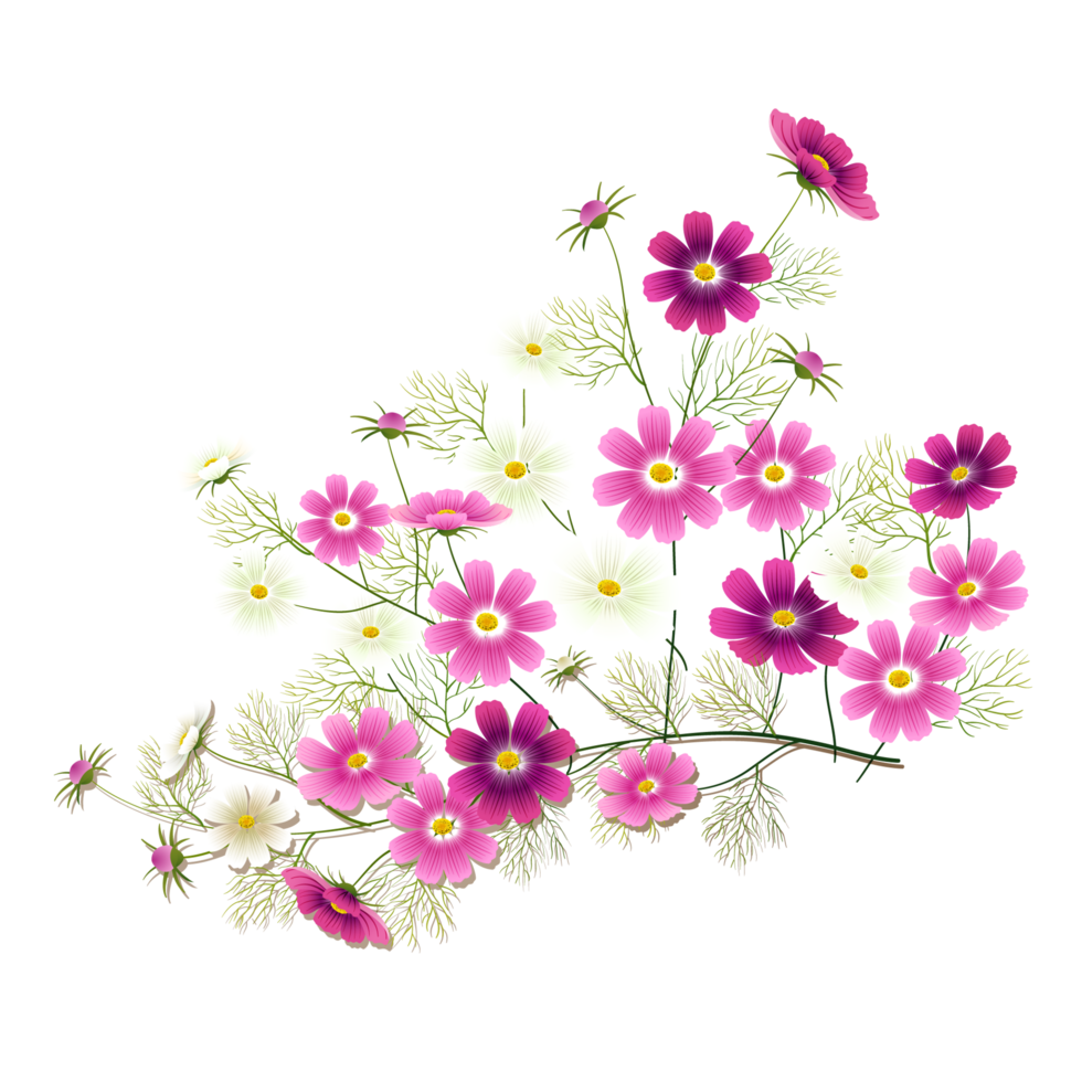 spring flower clipart png