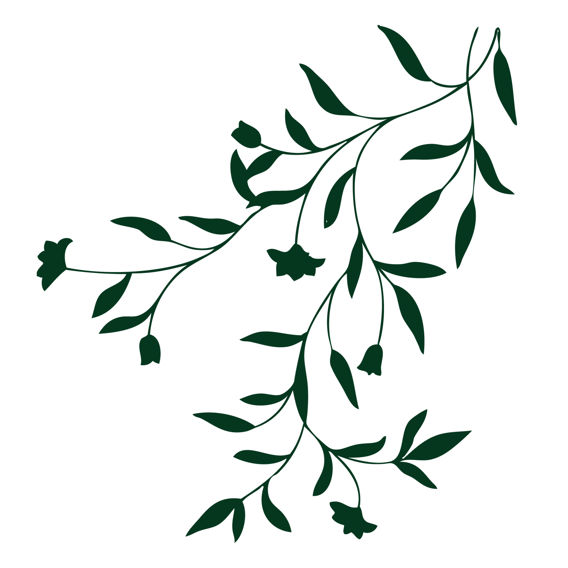leaf floral png 8470574 PNG