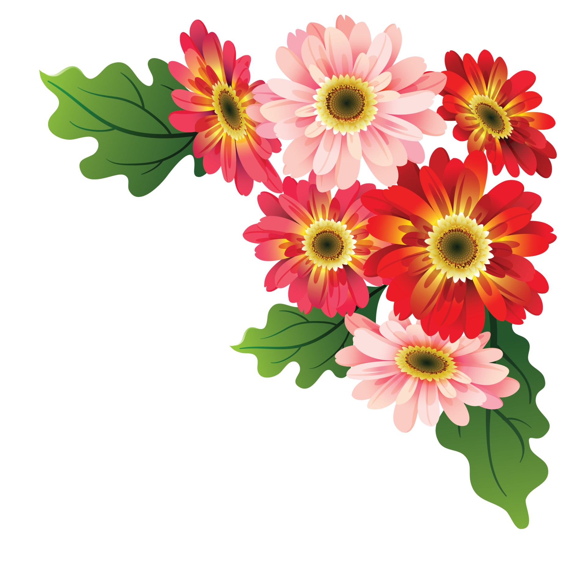 Flower PNG Images  Free PNG Vector Graphics, Effects