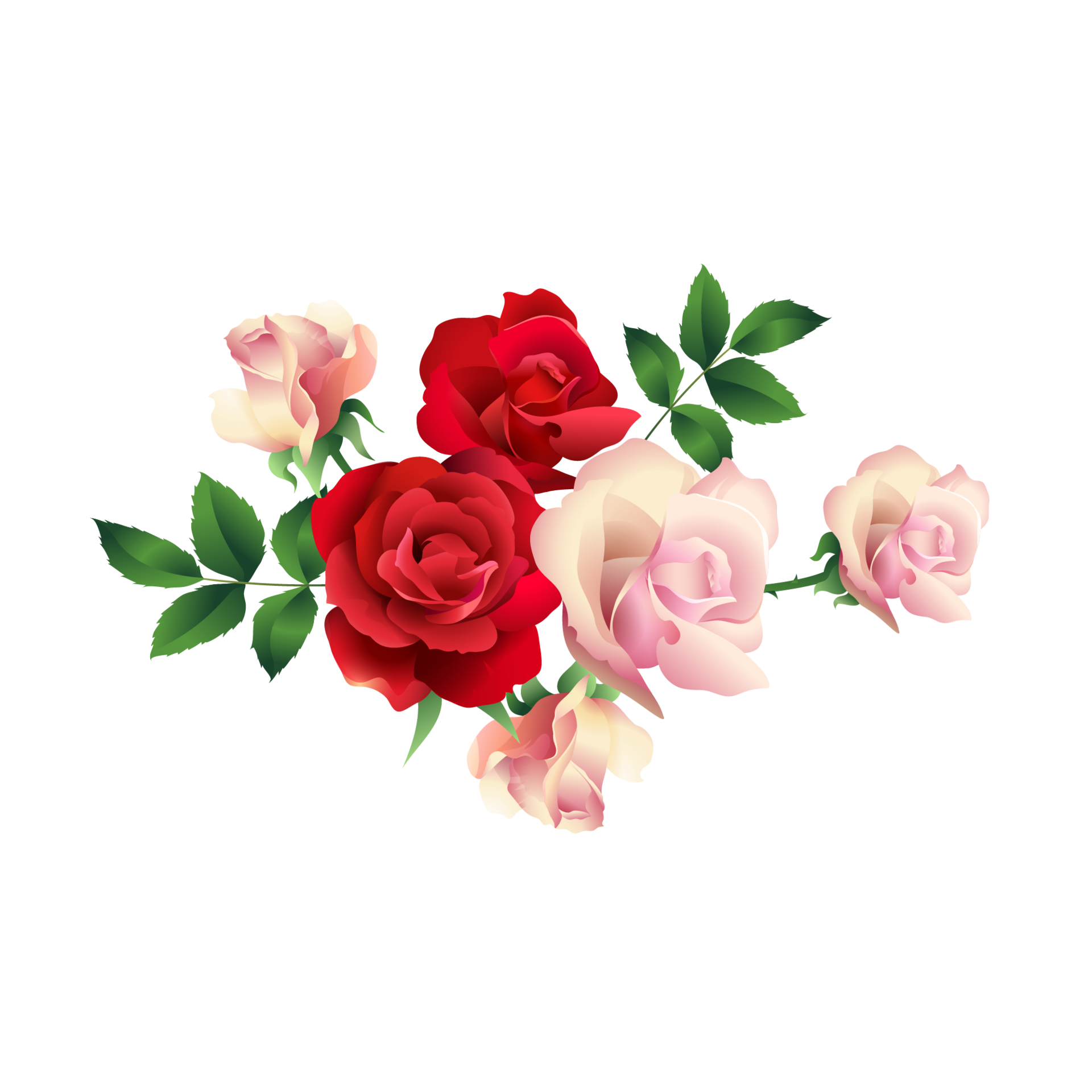 Flower Png PNGs for Free Download