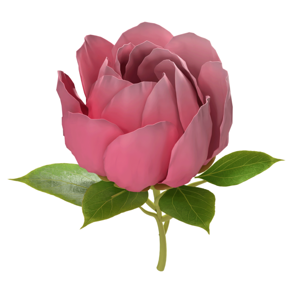 pétala de flor rosa 3d com folhas png