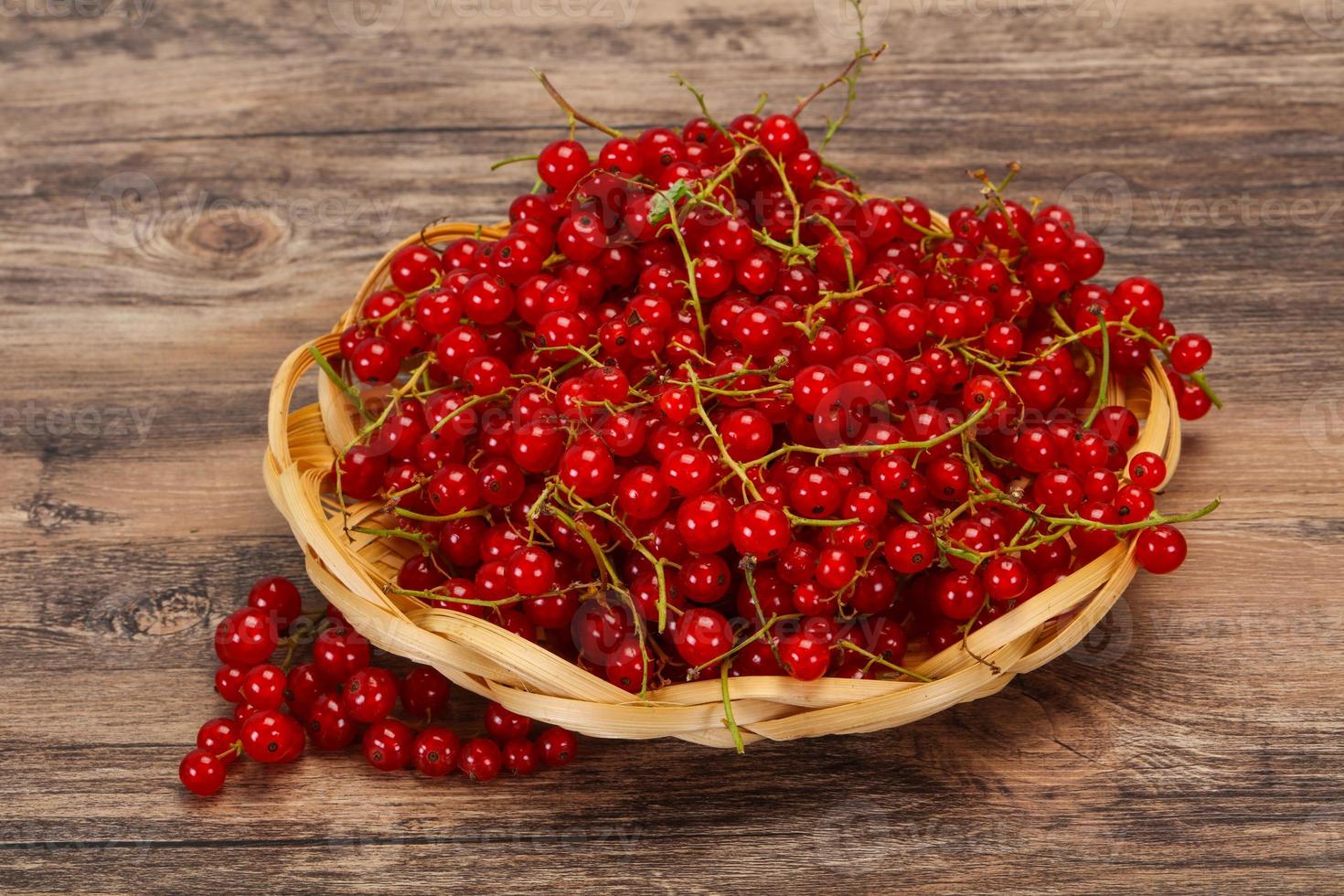 Sweet tasty fresh Red currant photo