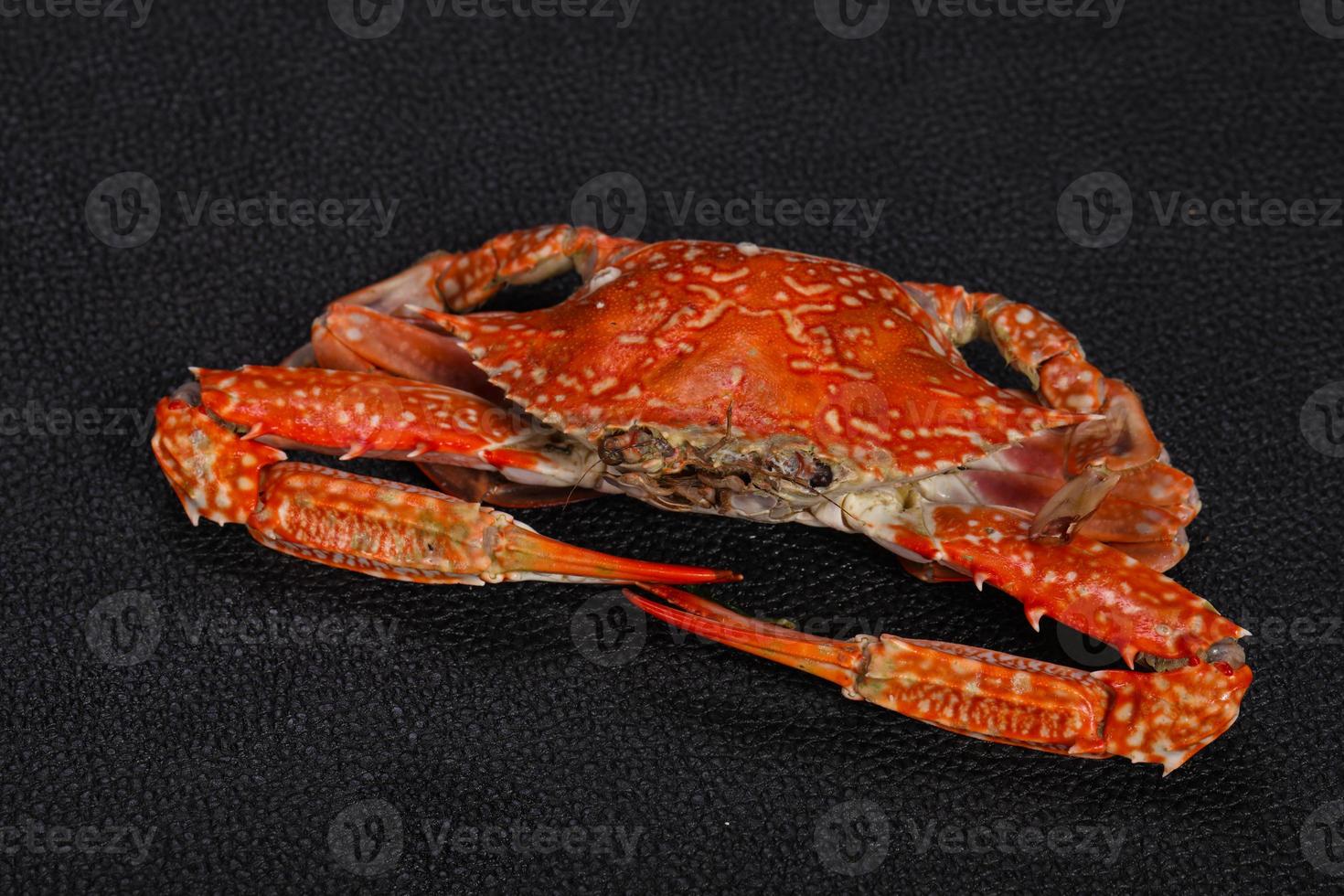 Boiled crab - ready for eat photo