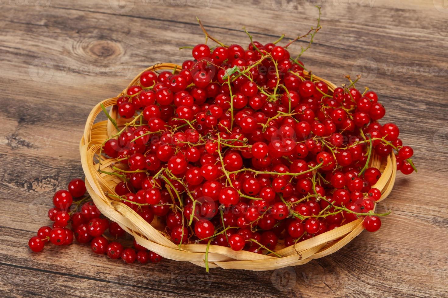 Sweet tasty fresh Red currant photo