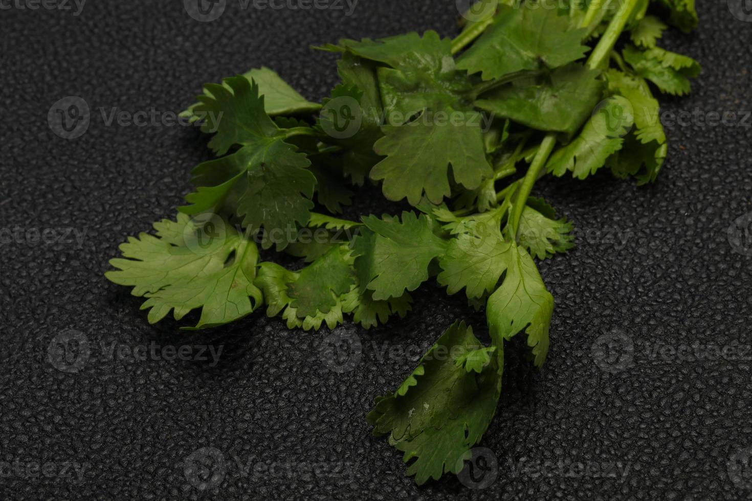 Fresh ripe  Green cilantro leaves photo