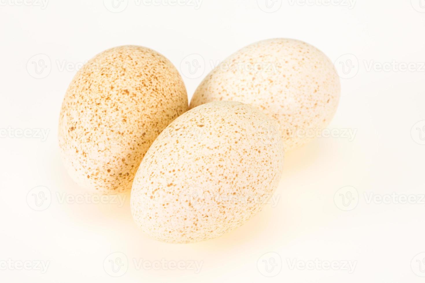 Three big raw turkey egg photo